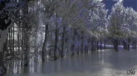 Sumpflichtung 2 Abendstimmung 2015-01-28.webp