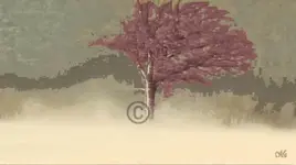 Baum der Stimmung 2015-01-28 rot-b.webp