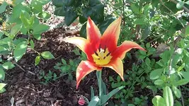 058.webp