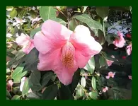 047.webp