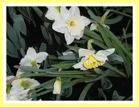 065.webp