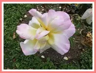 025.webp