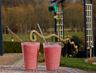 zwei frozen yoghurt_strawberry_drinks_pink2_640.webp