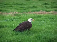 DSCF0583.webp