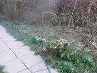 k-Naschgarten 3.webp