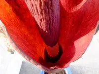 017.webp