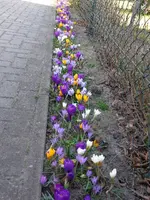 DSC01305.webp