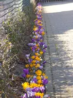 DSC01303.webp