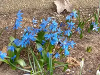DSC01300.webp