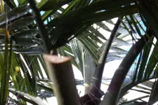 SAM_0443.webp