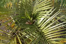 SAM_0444.webp