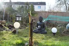 SAM_0445.webp
