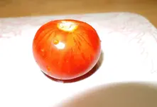 DSCN4758.2.webp