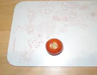 DSCN4764.2.webp