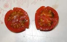 DSCN4765.2.webp