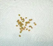 DSCN4772.2.webp