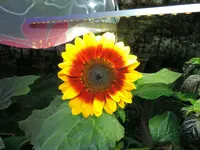 DSCN4717.2.webp