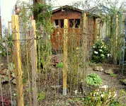 IMG_4202.webp