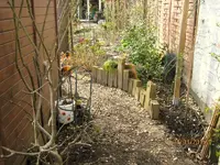 IMG_4208.webp