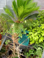 IMG_4207.webp