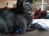 2015-03-22 18.17.25.webp