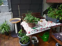 19.06.13 tischII.webp