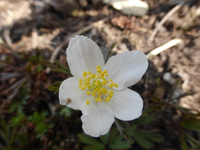 P1290801.webp