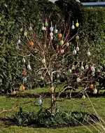Ostereier_Eierbaum_multicolor_spring_1280.webp