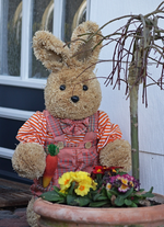 Osterhase vor der Haustür_700.webp