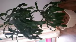 20150324_140416.webp