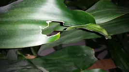 20150324_140426.webp 20150324_140426.webp
