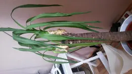 20150324_145247[1].webp