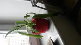 20150324_145301[1].webp