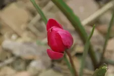 DSC02921.webp