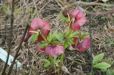 DSC02927.webp