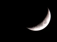 DSCN1977X.webp