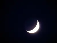 DSCN1986X.webp