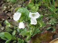 001_1024x768.webp