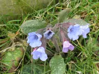 002_1024x768.webp