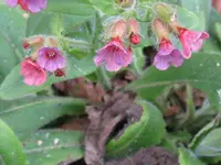 007_1024x768.webp