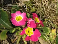 005_1024x768.webp