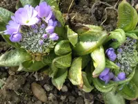 006_1024x768.webp