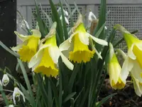 008_1024x768.webp