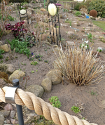 Hangbeet_25032015_2_700.webp