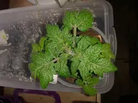 20150325_133255.webp