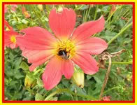 110.webp