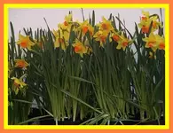 075.webp
