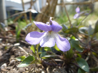 P1300018.webp