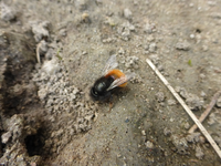 P1300151.webp