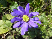 P1290980.webp